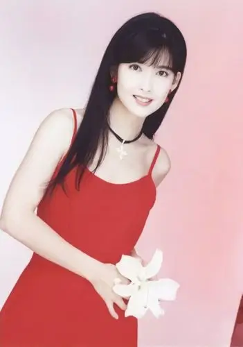 周慧敏 - 堆糖,美图壁纸兴趣社区