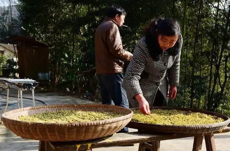 9张耐人寻味的农村照片,带你去看闲适的农村生活!