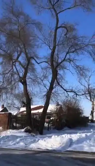 现实中的农村生活