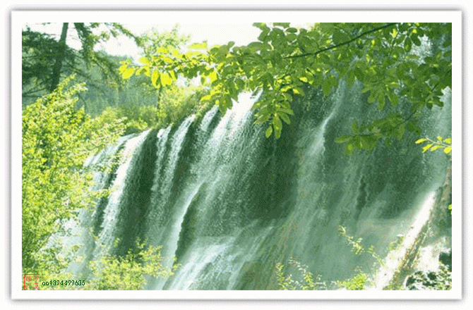 670_440gif 动态图 动图