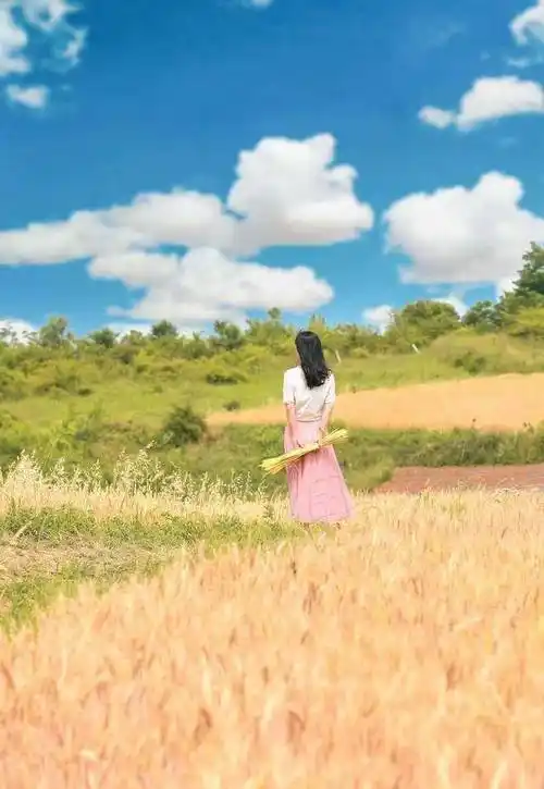 6个技巧,背影照也能优雅,美丽