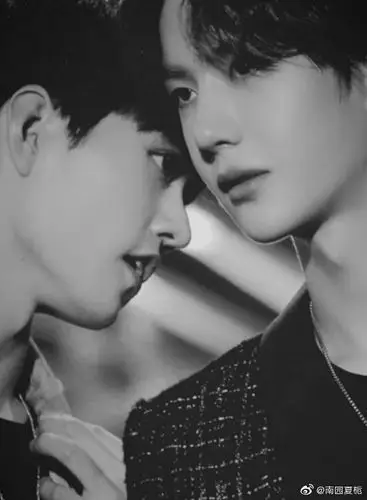 王一博就跟着大灰狼进入卧室 王一博刚刚关上门,就被肖战壁咚在巧上