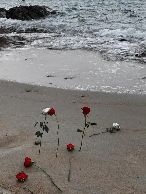 适合伤感文案的照片适合文案的配图