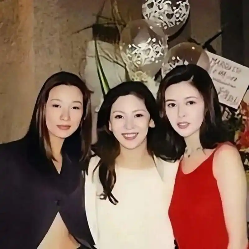 向太陈岚年轻时的美貌