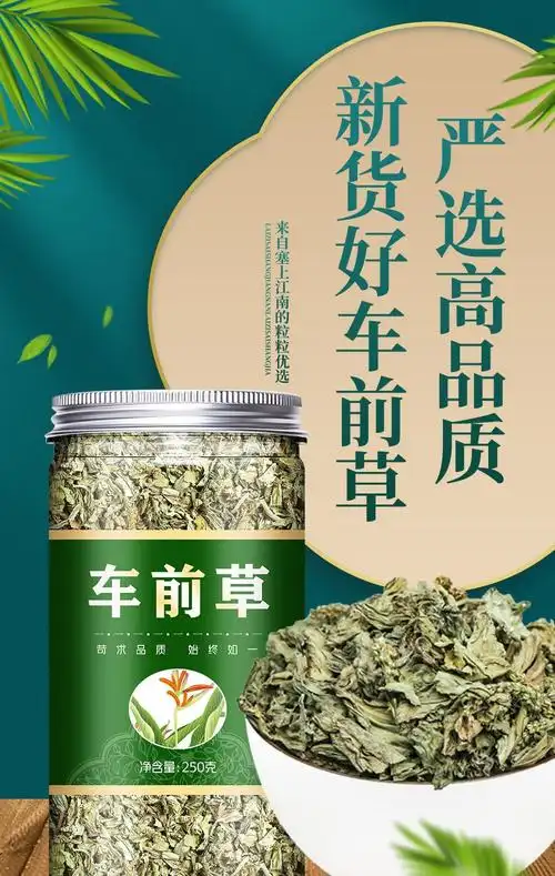 车前草500克g材车前草干非新鲜野生泡水喝另售车前子金钱草 500g
