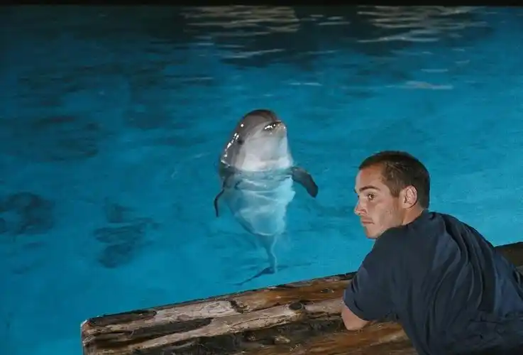 碧海蓝天 the big blue 电影 kingnet 影音台--影音下载(电影音乐下载