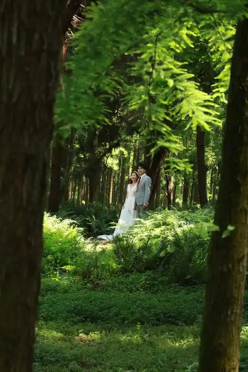 共青森林公园风景人物一览