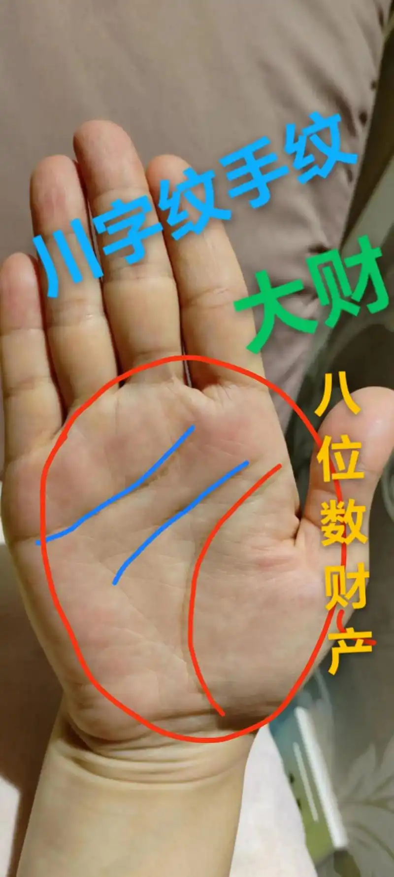 #川字纹 #掌纹 #暴富 #测一测你是哪种手型 #旺夫女人 - 抖音