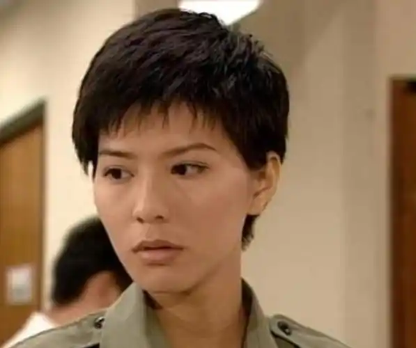 滕丽名飒,关咏荷柔,薛凯琪甜,tvb"警花"各有各的风格