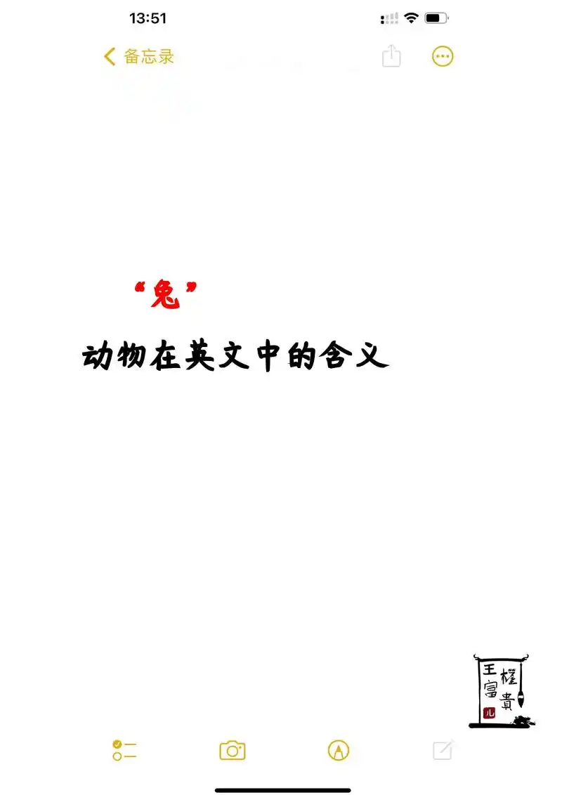 动物在英文中的含义-兔子.#英语 #学英语 #知识点总结 - 抖音