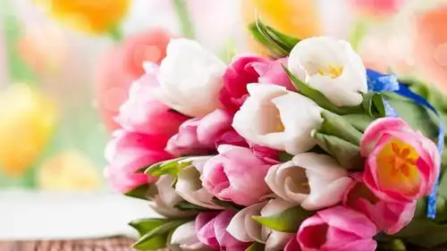 养眼的唯美花朵,高清壁纸图片,鲜花背景-回车桌面