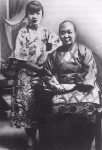 老照片袁世凯的妻妾们