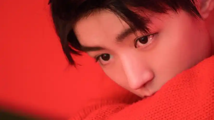 明星王俊凯明星风尚壁纸