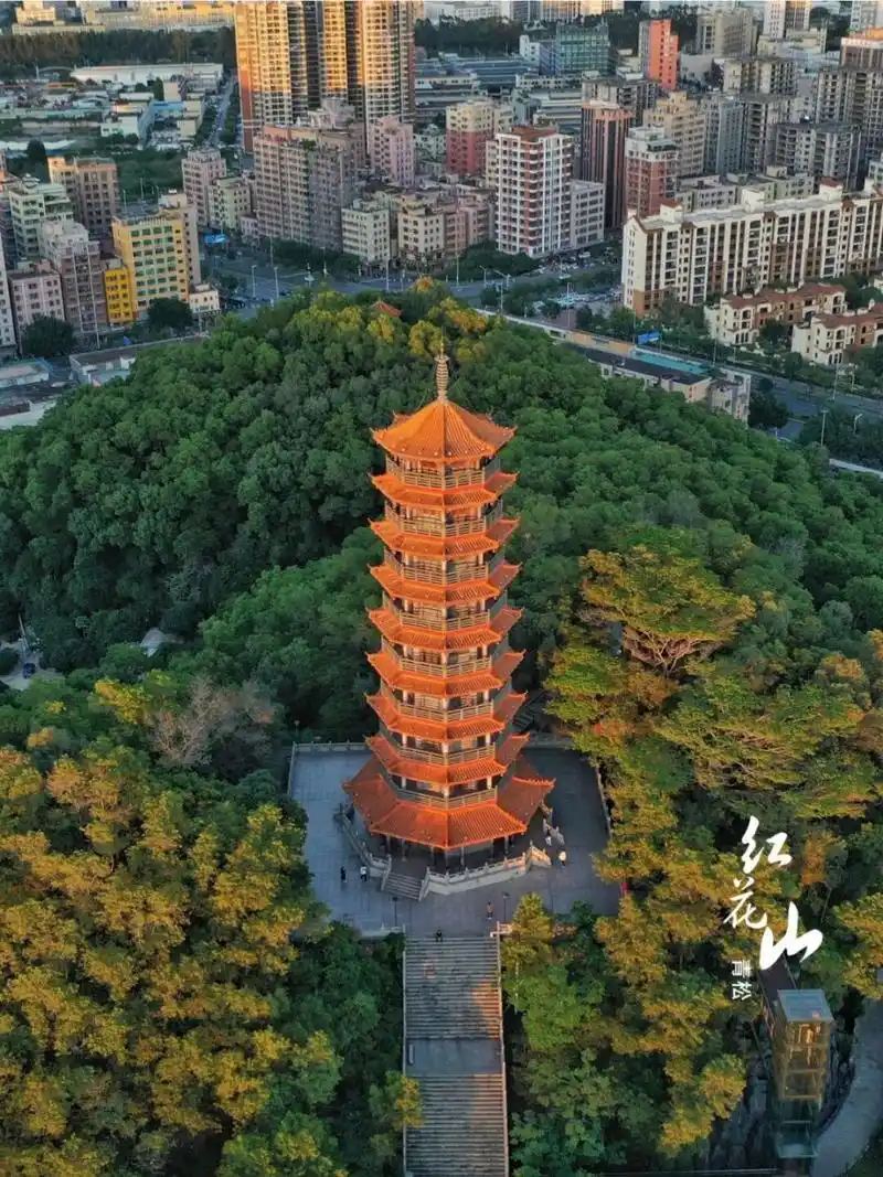 深圳‖ 红花山公园 一个被称为草海的浪漫主题公园,除了一大片的粉子