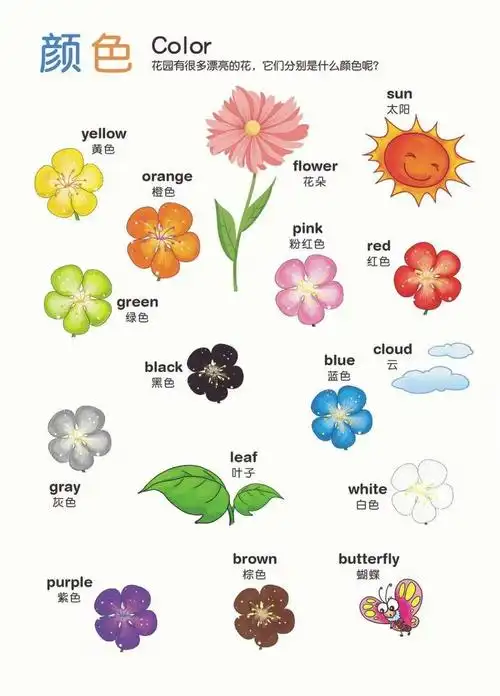 爱了这张颜色的英文