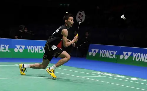 桌面壁纸 1280*1024 主题为:羽毛球.求推荐几张.