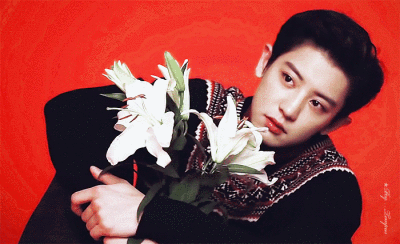 朴灿烈霸气动图