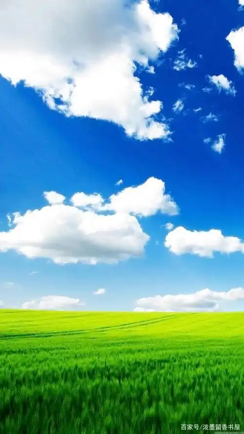 大草原风光手机壁纸