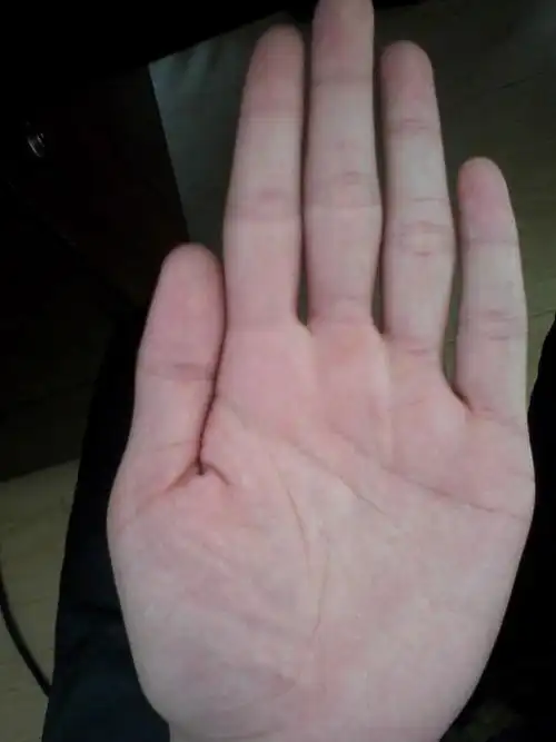 本人男 左手手相如下 求解答