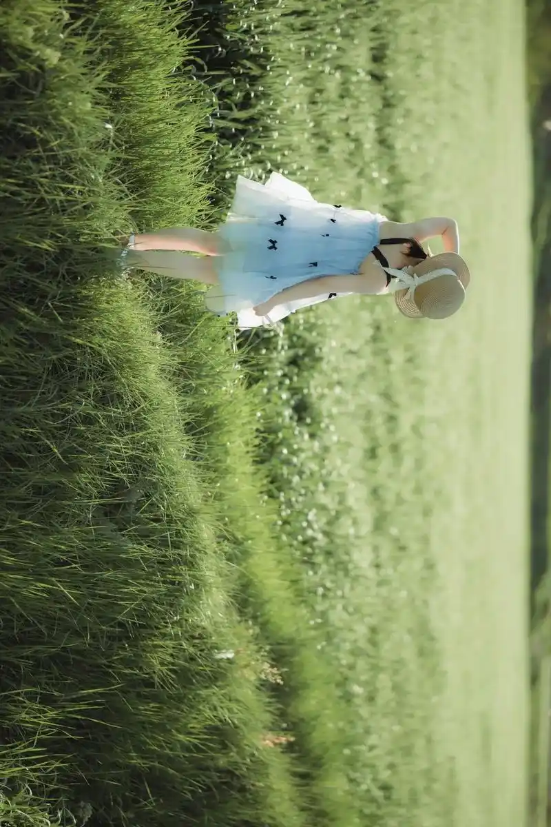 在麦田拍的一组照片