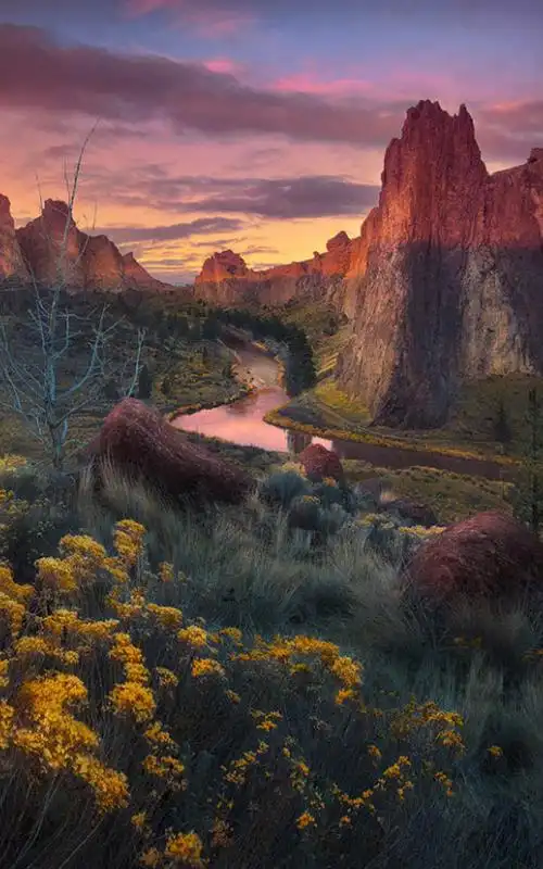 唯美秀丽的自然风光图片手机壁纸-风景-手机壁纸下载-美桌网