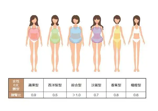 女性6大体型【苹果型】身形描述:当大多女性都在烦恼下半身肥胖时