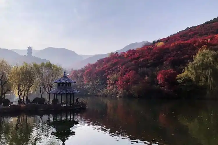 那年秋天.#谁不喜欢这满屏诗画之地 山野间寻觅清欢 #寻一处 - 抖音