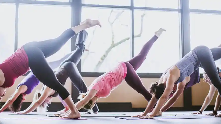 健身房多人瑜伽运动摄影图片高清桌面壁纸