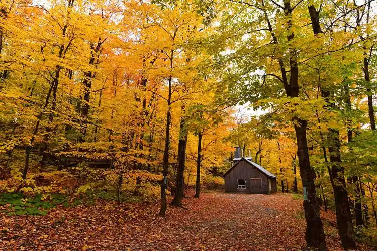 秋游美丽的枫叶之乡加拿大