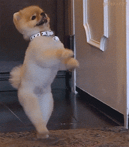 搞笑gif图:姑娘那醉人的表情,肯定是想起心爱的人了!_【今日爆点】