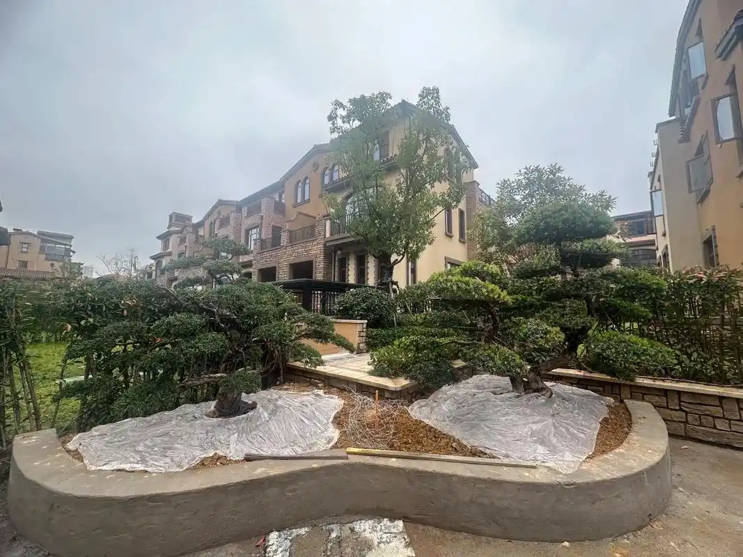 闲湖城琥珀湾私宅设计施工.别墅就是空间大,宽敞舒服,外墙石材 - 抖音