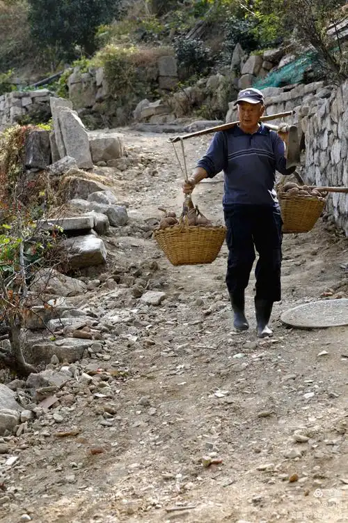中国最美乡村一一崂山青山村.