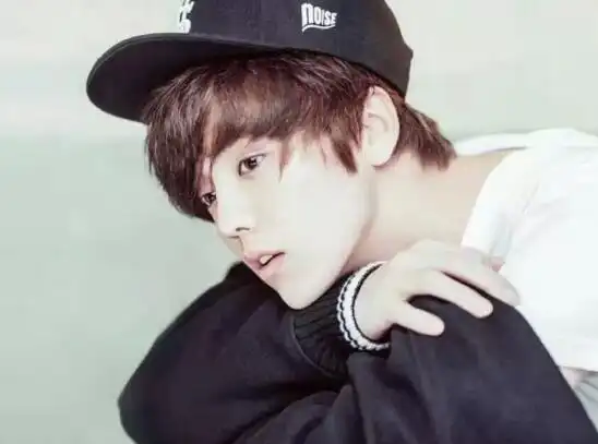 图鹿晗的妈妈翁文凤身份揭秘曾表示不希望父母被公开