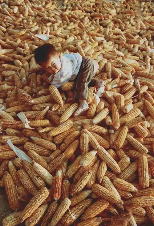 跨越潍坊50年的50张珍贵童年照第一张就让人泪目