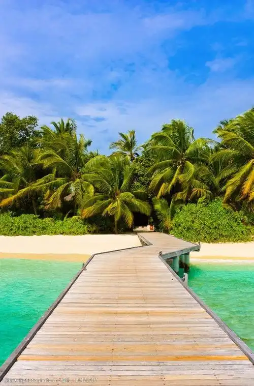 沙滩风景图片图片-图行天下图库