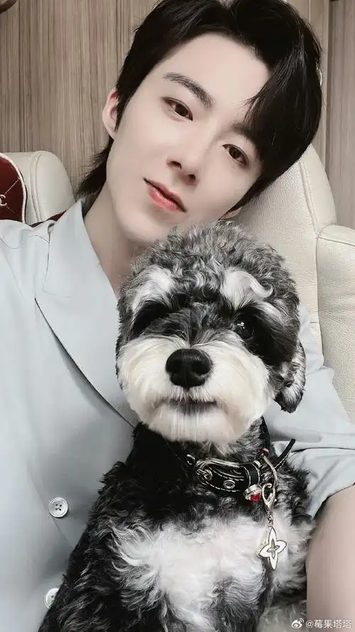 宁远舟丨刘宇宁一念关山嘿～经纪人@摩登兄弟刘宇宁你手机别存丑图啦!