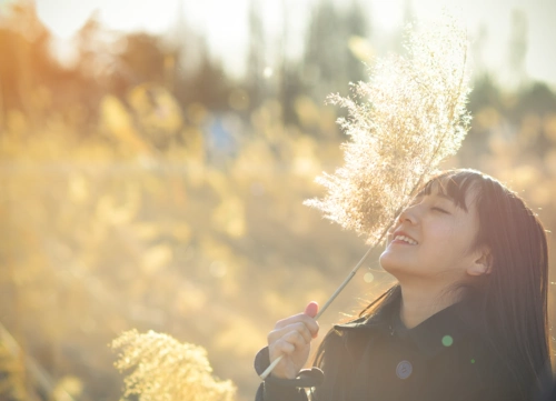 标题:【你的微笑】