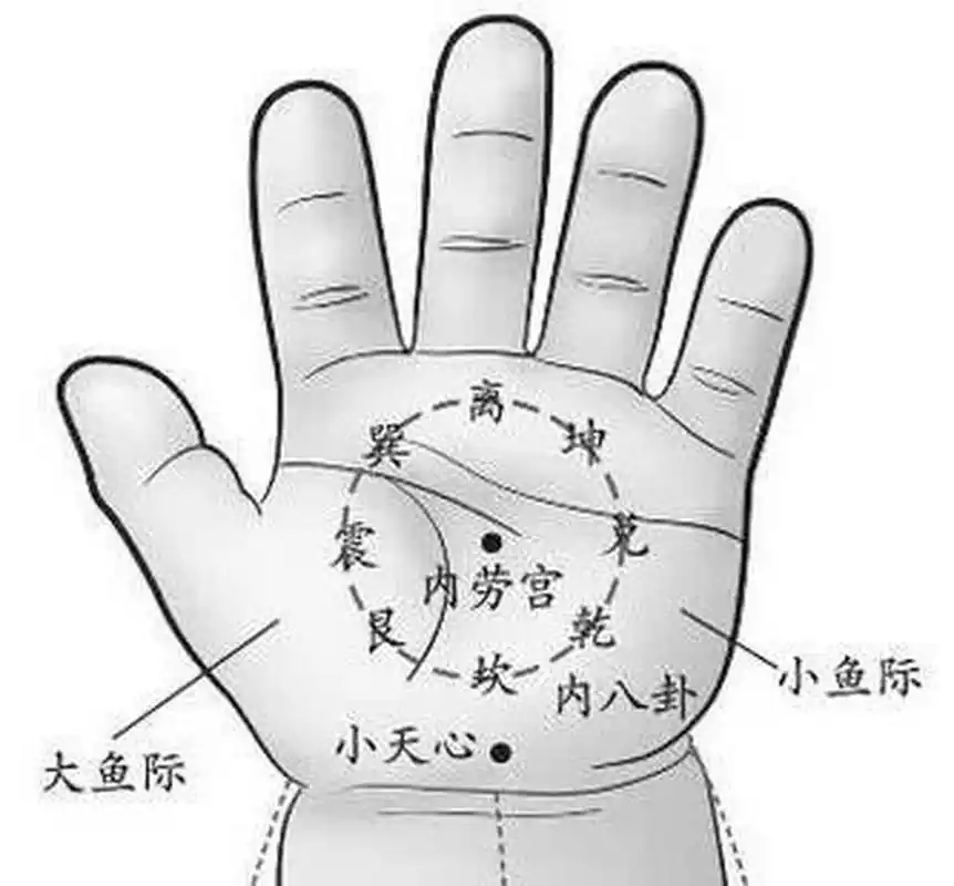 小儿推拿常用穴位之运内八卦72 【内八卦】 八卦的手法一般都是运