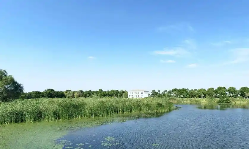 长荡湖湿地公园,位于溧阳上黄镇的西北部,景色优美值得一游_休闲_游人