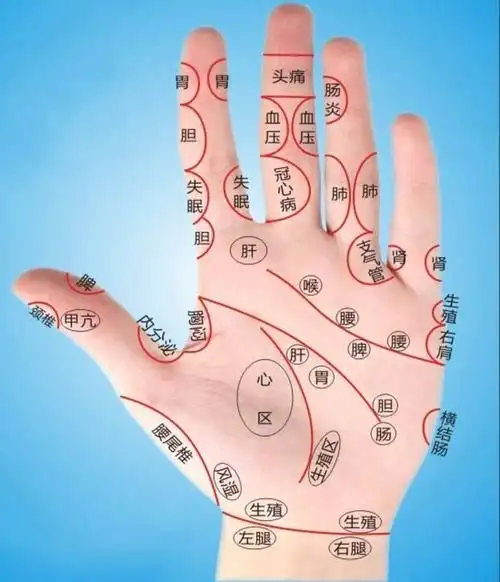 90%的文玩人都有病!不信你看!