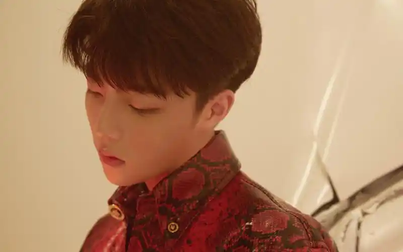 陈立农酷帅写真图片桌面壁纸