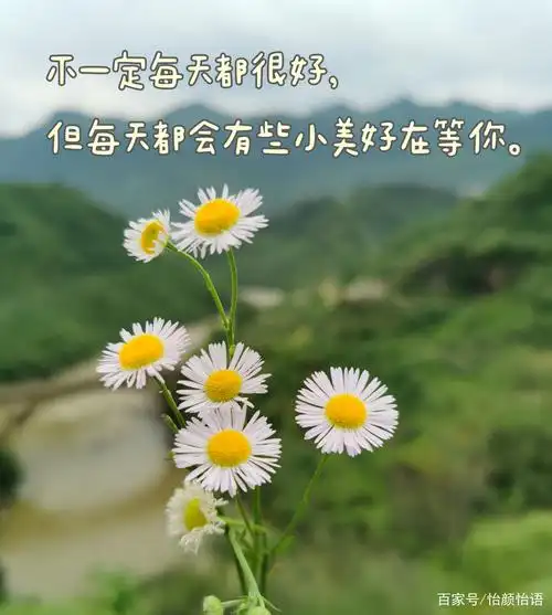 生活明朗,万物可爱