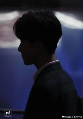 就算只有轮廓,但依然为之倾倒,好看的人就连影子都是世上最美丽的.