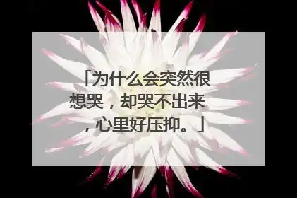 为什么会突然很想哭,却哭不出来,心里好压抑.