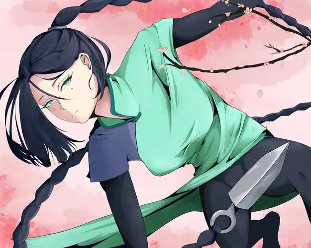 梅花十三图片霸气高清