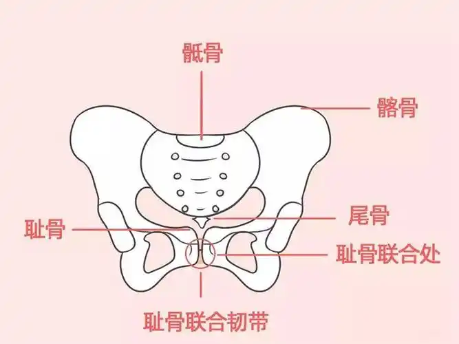 有没有做过产后骨盆修复的宝妈,你们觉得怎么样有效果吗?_手机搜狐网