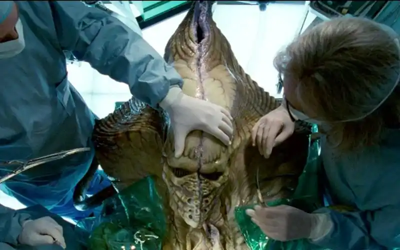 小伙抓到一个外星人,被科学家拿去研究,却不知闯了大祸!