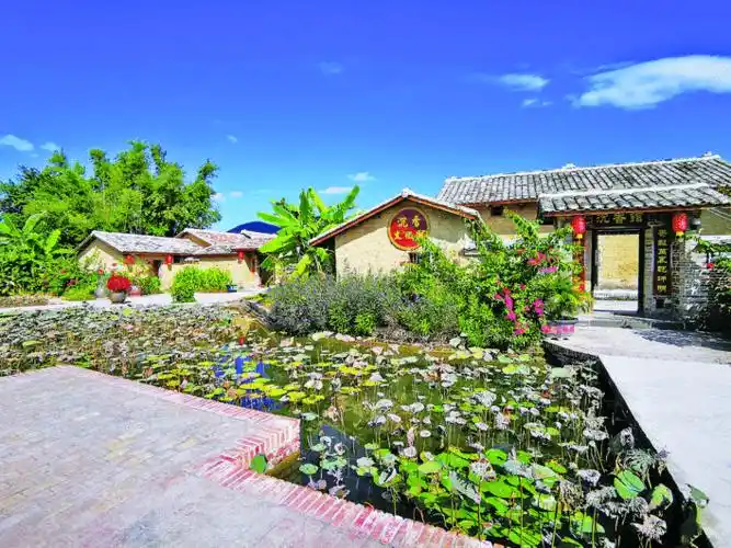 五大振兴绘就绿富美新农村玉林市乘势而上奋力谱写新时代乡村振兴新