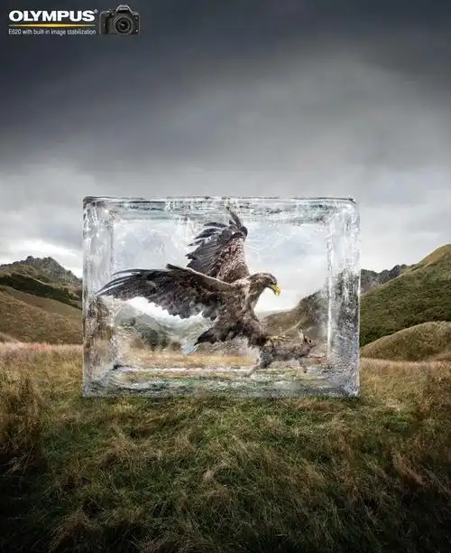 分享一组不错的全球平面创意广告