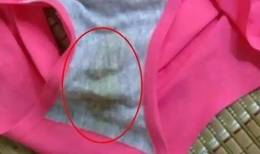 穿过的内裤到底有多脏看完你就知道要怎么选内裤了